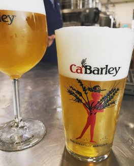 Bee Bear - Birra al Miele Bio - 7