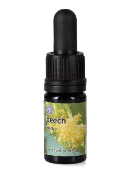 Beech - Soluzione Madre - 1