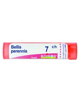 Bellis Perennis Boiron 7CH Granuli - 1