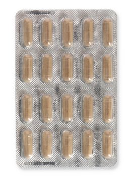 Belson Plant - Capsule - 3