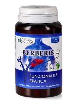 Berberis - 1