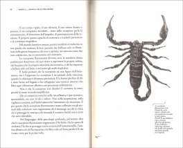 Bestiario dell'Anima — Libro - 3