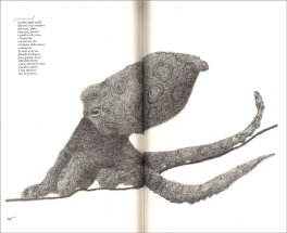 Bestiario dell'Anima — Libro - 4