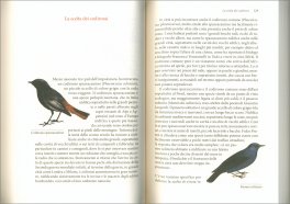 Bestiario Invisibile — Libro - 3