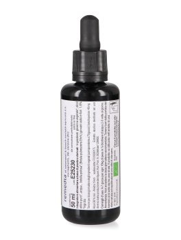 Betula Pubescens - Gemmoderivato Floripotenziato - Giovani Radici e Fiori - 2