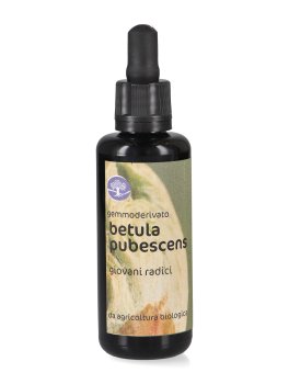 Betula Pubescens - Gemmoderivato Floripotenziato - Giovani Radici e Fiori - 1