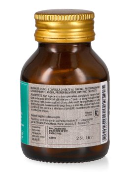 Betulla+ - 2