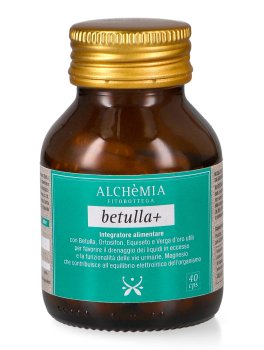 Betulla+ - 1