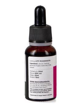 Betulla - Estratto Idroalcolico da Pianta Fresca - 3