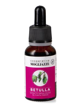 Betulla - Estratto Idroalcolico da Pianta Fresca - 1