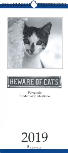 Beware of Cats - Calendario 2019