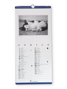 Beware of Cats - Calendario Gatti 2026 — Calendario - 3