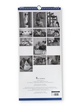 Beware of Cats - Calendario Gatti 2026 — Calendario - 4