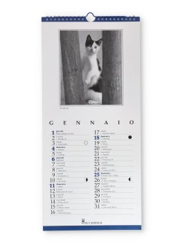 Beware of Cats - Calendario Gatti 2026 — Calendario - 2