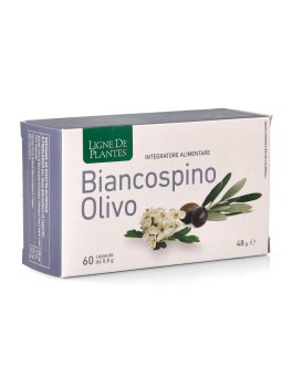 Biancospino Olivo - 1