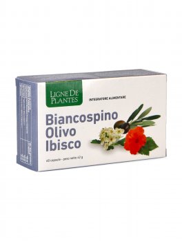 Biancospino Olivo Ibisco