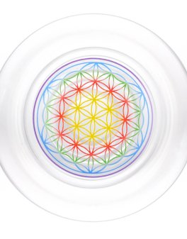 Bicchiere Mythos con Fiore della Vita - 4