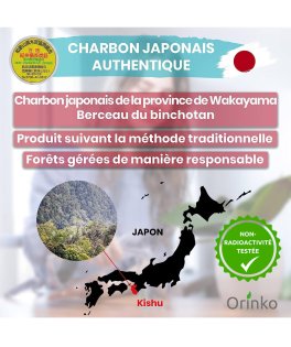 Binchotan di Kishu - Carbone Attivo Giapponese - 4