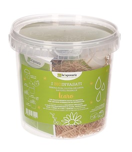 Bio Invasati Grande - Icaro