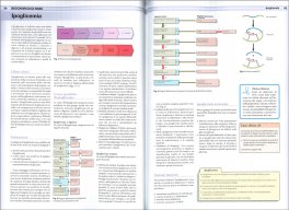 Biochimica Clinica — Libro - 3