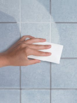 Biococoon Spugna Magica - 5