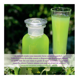 Biocosmesi Vegana, Fresca e Naturale — Libro - 4