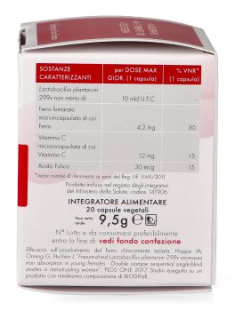 BiodiFer - 4
