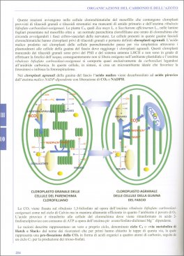 Biologia delle Piante Medicinali — Libro - 3