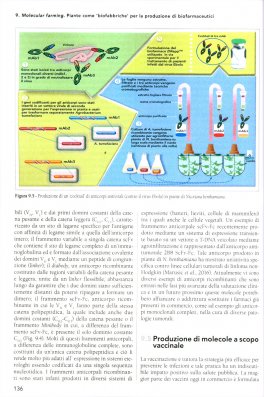 Biotecnologie Sostenibili — Libro - 3