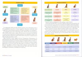 Biotipi a 4 Zampe — Libro - 3