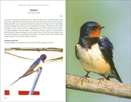 Biowatching — Libro - 3