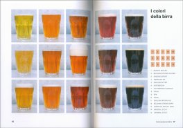 Birra Fai da Te — Libro - 3