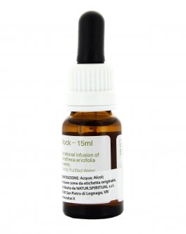 Black Eyed Susan - Fiori australiani - 15 ml - 2