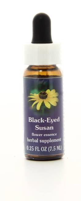 Black-Eyed Susan - Fiori australiani - 1