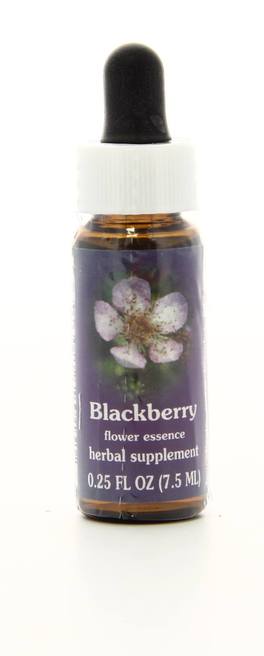 Blackberry - Fiori californiani - 1