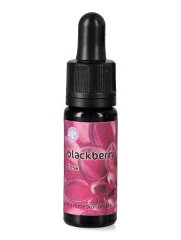 Blackberry - Fiori Californiani - Dose - 1