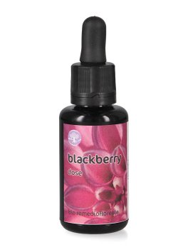 Blackberry - Fiori californiani - Dose - 1