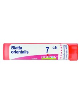 Blatta Orientalis Boiron 7CH Granuli - 1