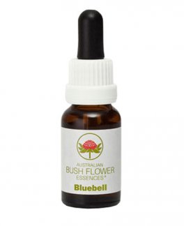 Bluebell - Fiori australiani - 15 ml - 1