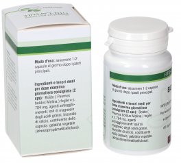 Boldo - Capsule - 3