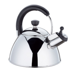 Bollitore Earl in Acciaio Inox