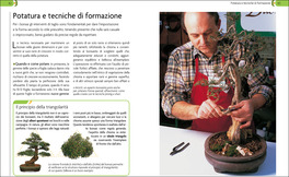 Bonsai - Stili, Legatura e Potatura — Libro - 3
