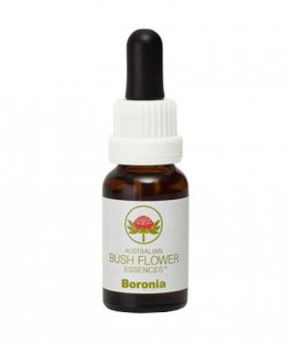 Boronia - Fiori australiani - 15 ml - 1