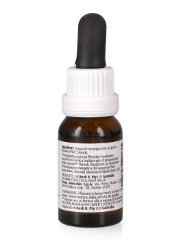 Boronia - Essenza Floreale Australiana Singola - 2