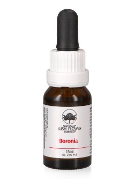 Boronia - Essenza Floreale Australiana Singola - 1