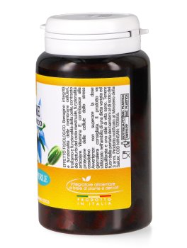 Borragine - Apparato Genitale Femminile - Perle - 2