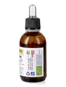 Borragine - Olio Vegetale Puro - 3