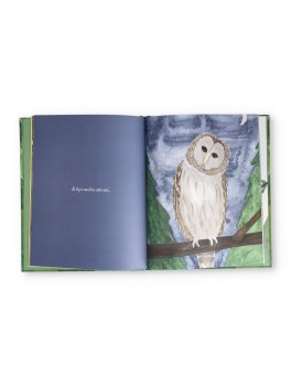 Bosco — Libro - 2