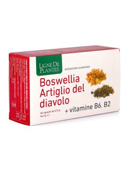 Boswellia Artiglio del Diavolo + Vitamine B6 e B2