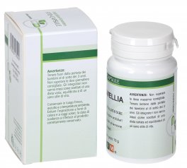 Boswellia - Capsule - 2